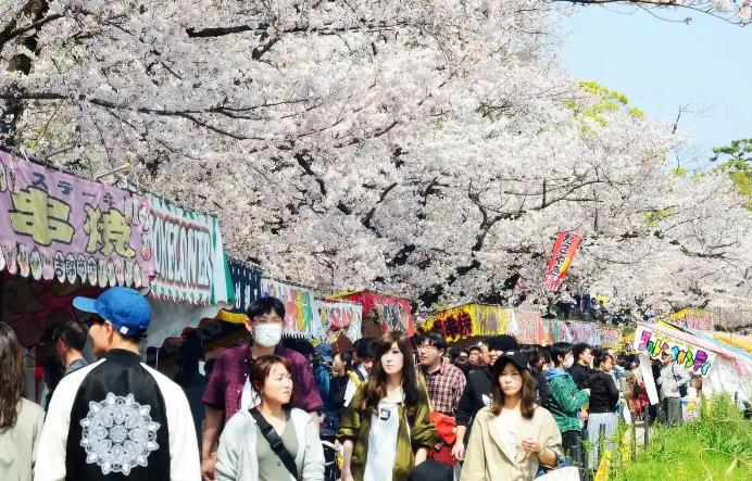 日本旅游遭遇“秒冻”,山东一旅行社21日后所有团期全取消